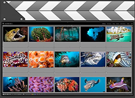 Custom Video Tutorials