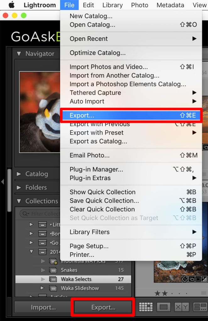 The Export Module A Basic Guide to Getting Your Images Out of
