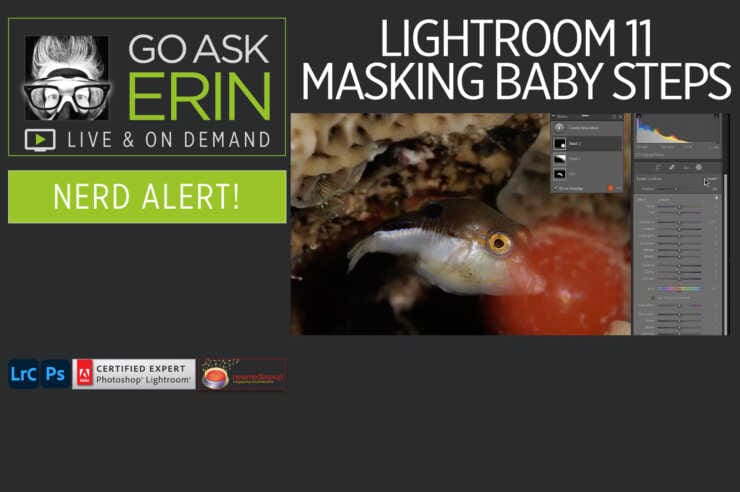 Nerd Alert! – Lightroom 11 Masking Baby Steps